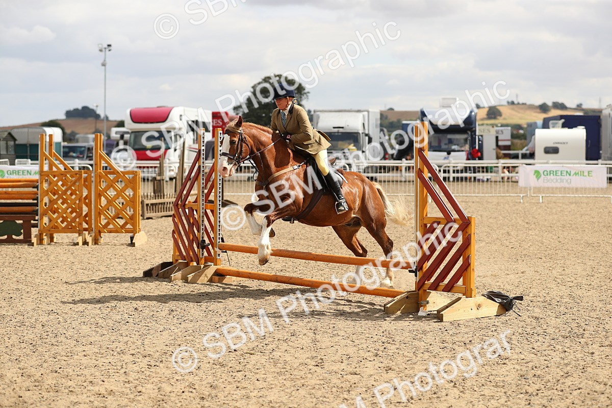 SBM_04722 - Class 46b Style & Performance 50cm (20+)