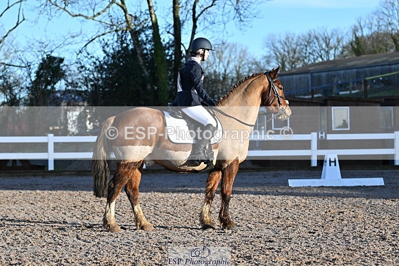 250125-093109-00055 - Dressage - CT Class 1 & 2 Intro 1