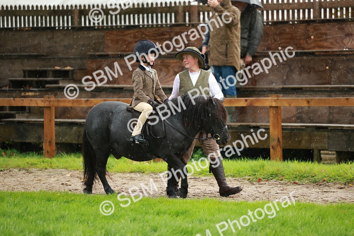 SBM_33701 - S9 - Lead Rein Equitation