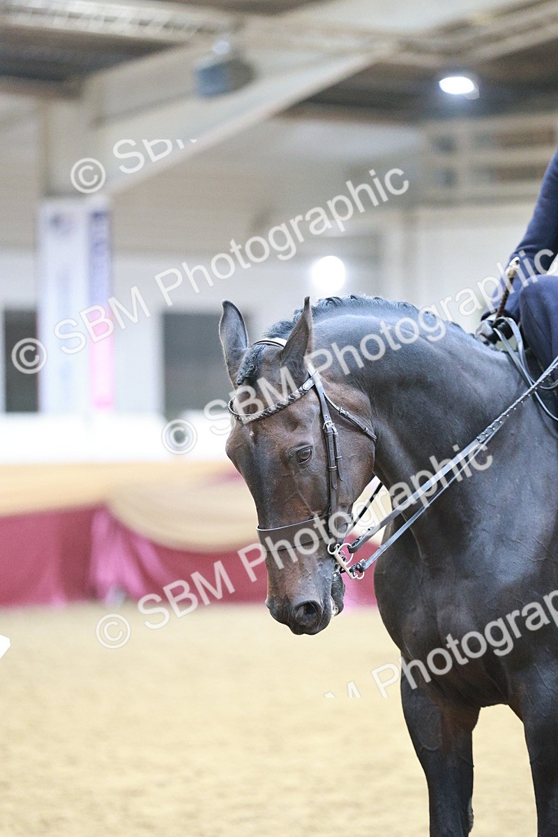 SBM_08841 - Class 12R - Regional Ridden Pre-Vet