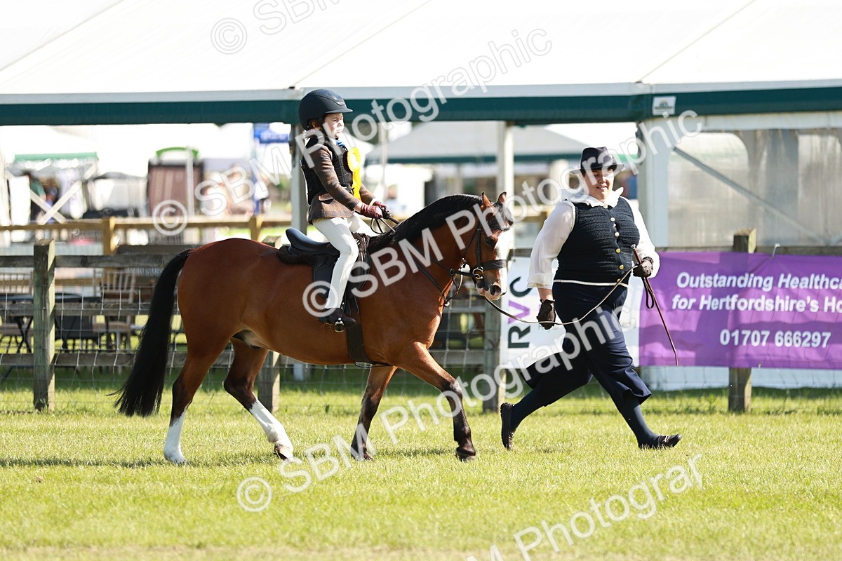 SBM_11349 - Class 106-107 - BSPS LIHS Working Sports Pony