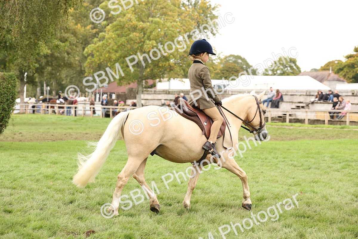 SBM_63038 - S64 - Foreign Breeds Ridden