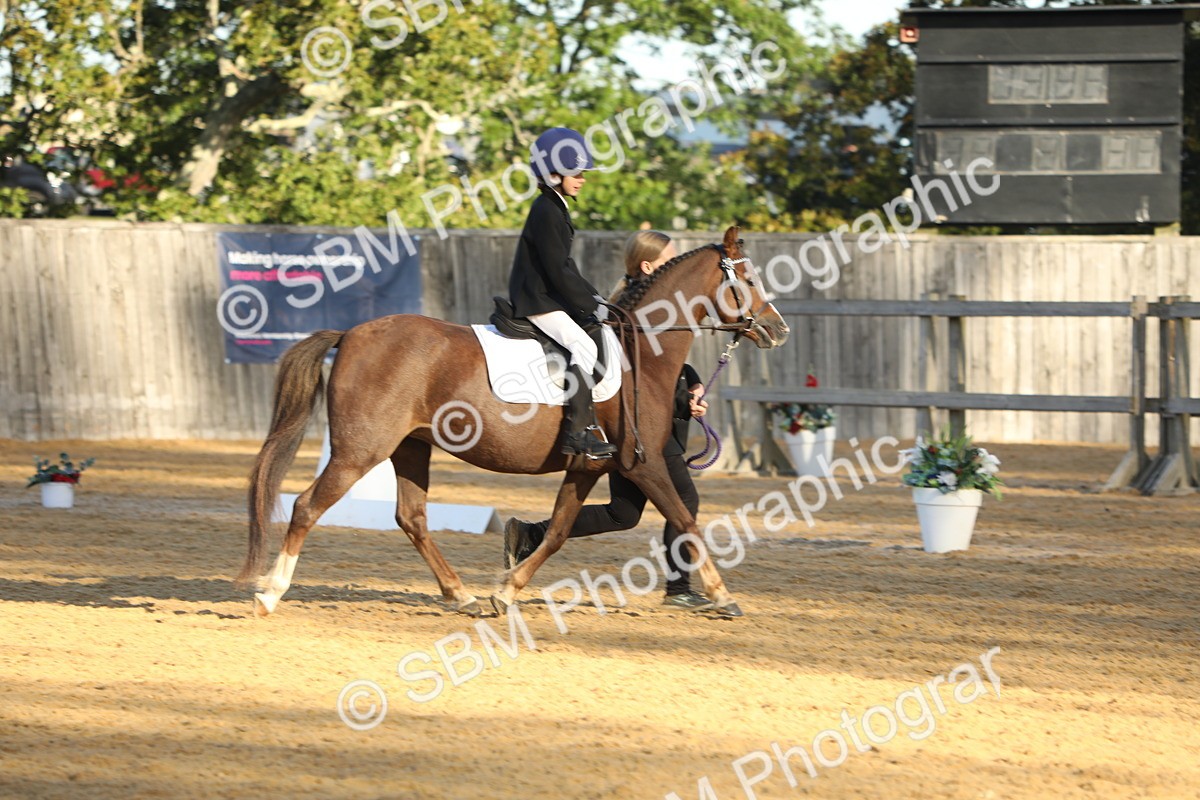 SBM_33648 - D26 - Starers - Lead Rein