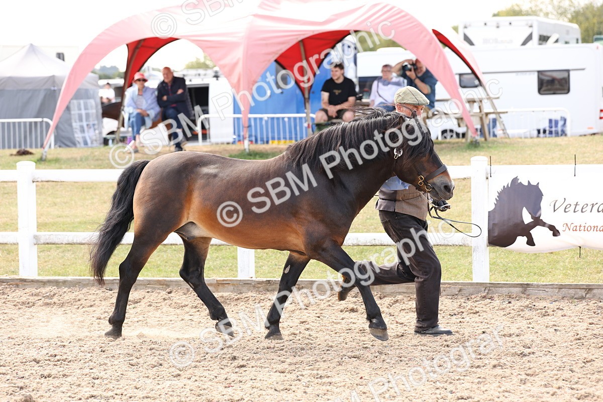 SBM_15070 - Class 209 - IH Veteran Pony