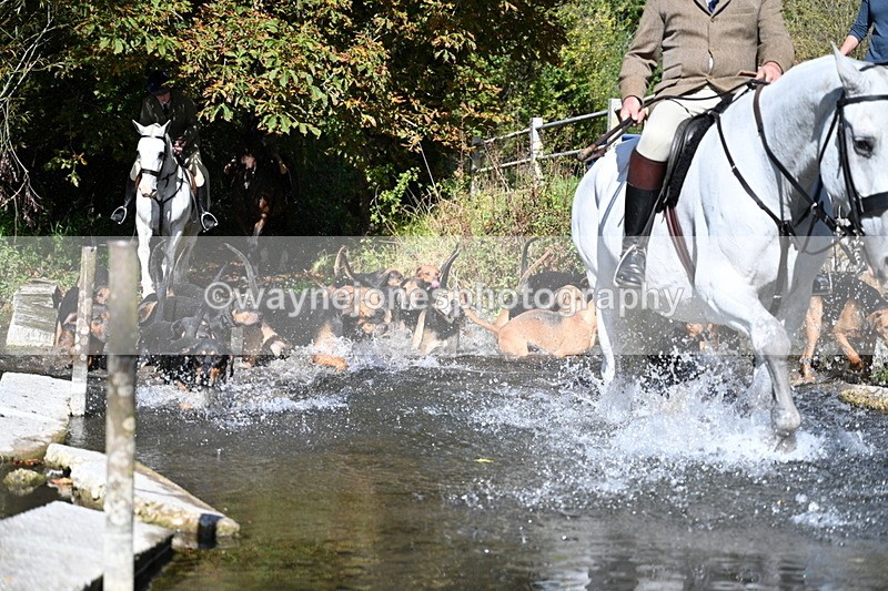 WJ7_5951 - Hounds Water Crossing