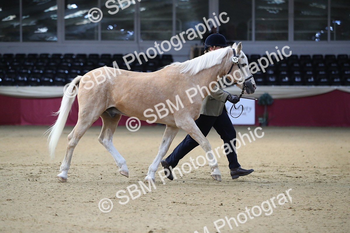 SBM_00249 - Class 1a - Area IH Diamond