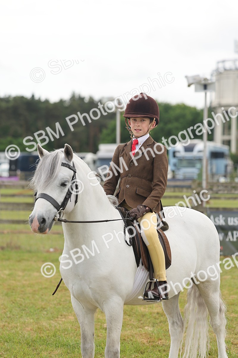 SBM_06881 - Class 74-75 - M&M Lead Rein and First Ridden Pony
