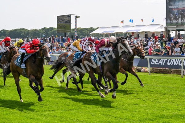 130625-Race 3-Easy Peeler-9028 - Race 3 3.00pm British EBF Supporting Racing With Pride Fillies' Handicap