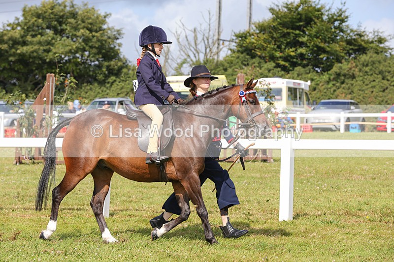 1X9A3574 - Class 29: Lead Rein SP/SHP