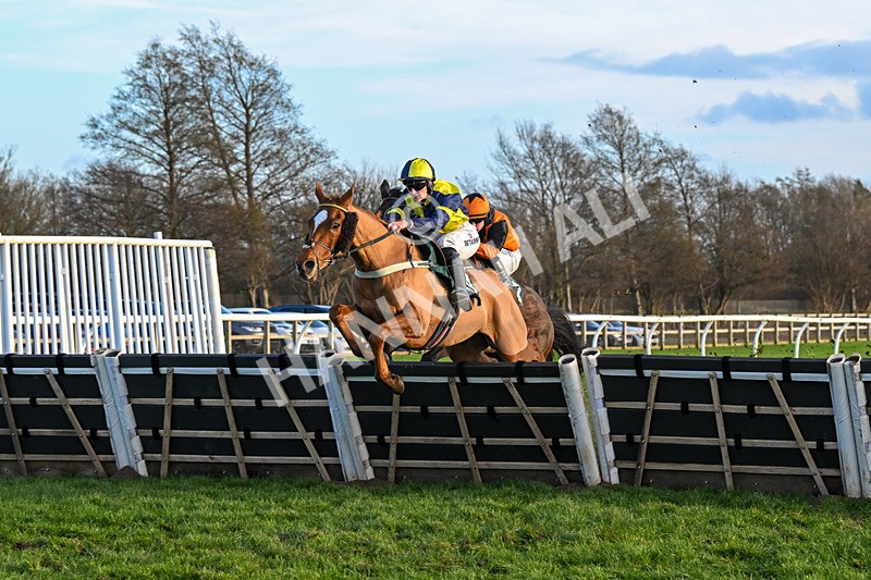 010124-Race 4-Justus-1118 - Race 4