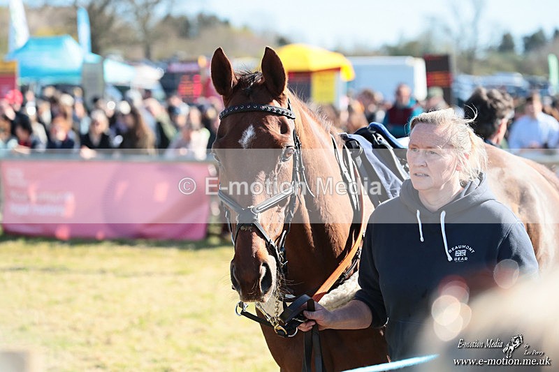 PtP 060426 478 - Paxford Races North Cotswold Easter Mon 06/04/26