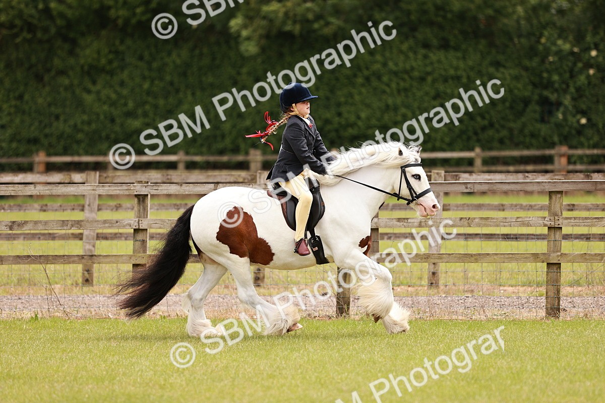 SBM_06238 - Class 39-41 TGCA In Hand and Ridden