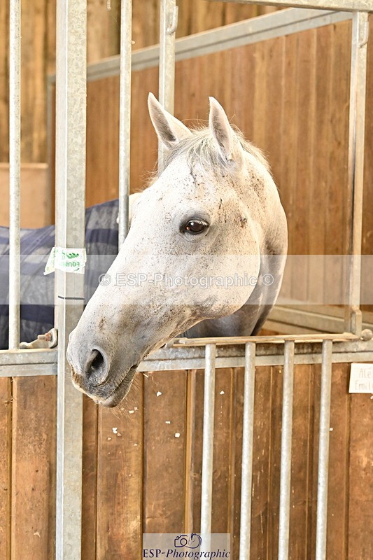 250821B-125533-00456 - Stable Shots and Group Photo