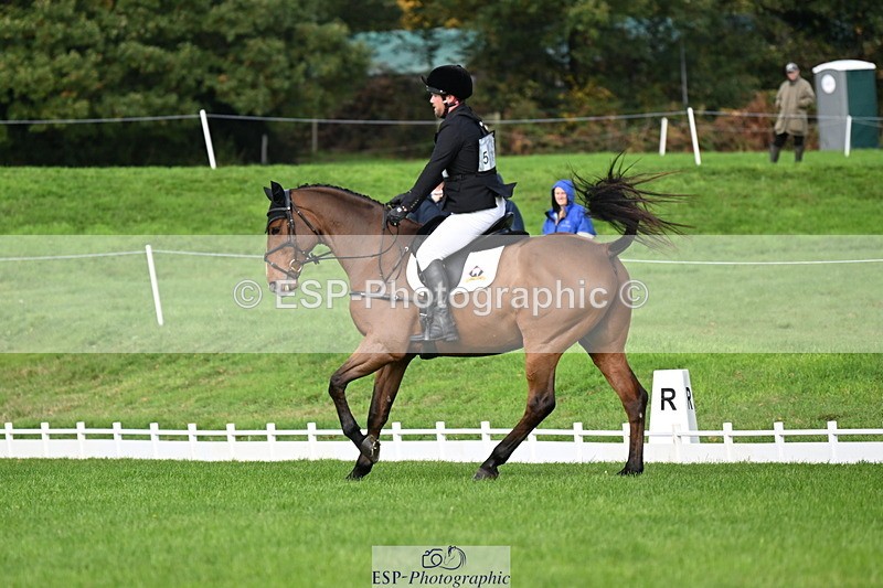 251023A-105409-02628 - G-510-Dan.Andrews