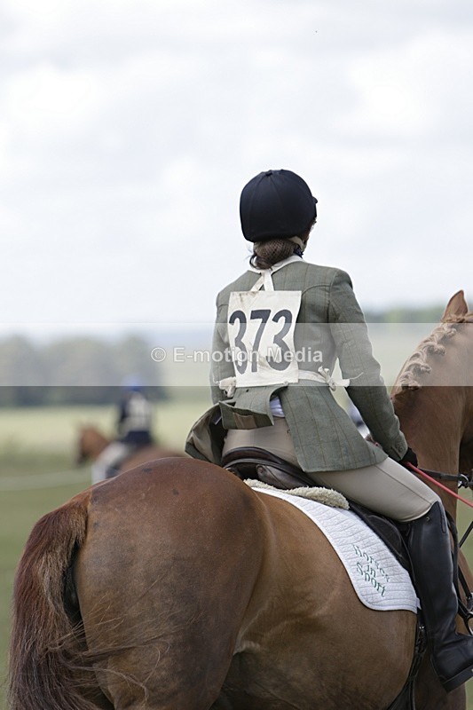 BVHT 140517 N-316 - Class 2 SJ Novice 14/05/17