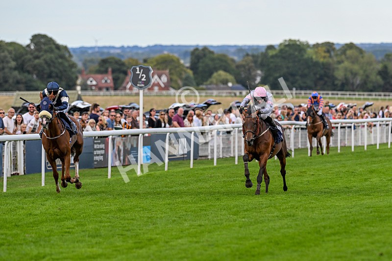 300826-Race 7-Marbuzet-9935 - Race 7 5.05pm Napoleons Casino And Restaurant Hull Apprentice Handicap