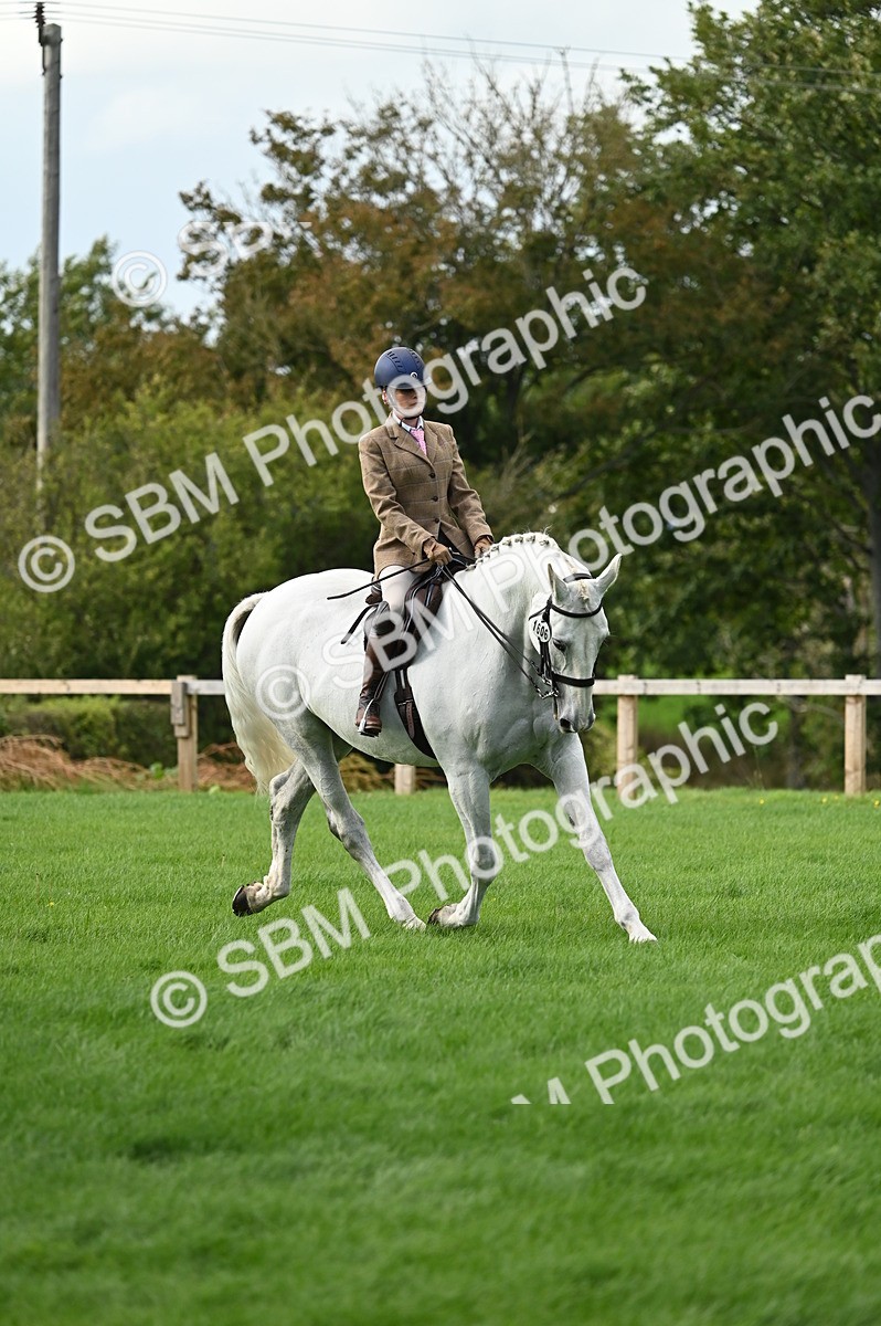SBM_26391 - S6 - Novice & newcomer Ridden horse