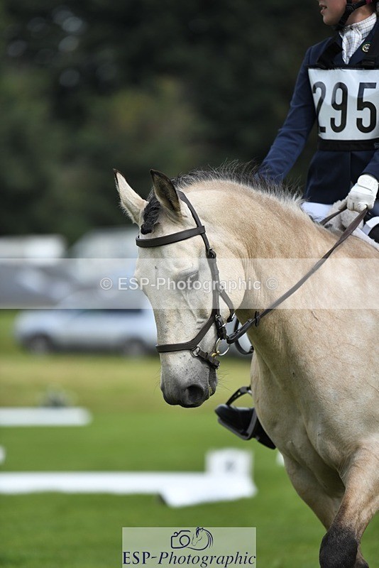 230826-111227-15765 - Sections C & D 10 to End