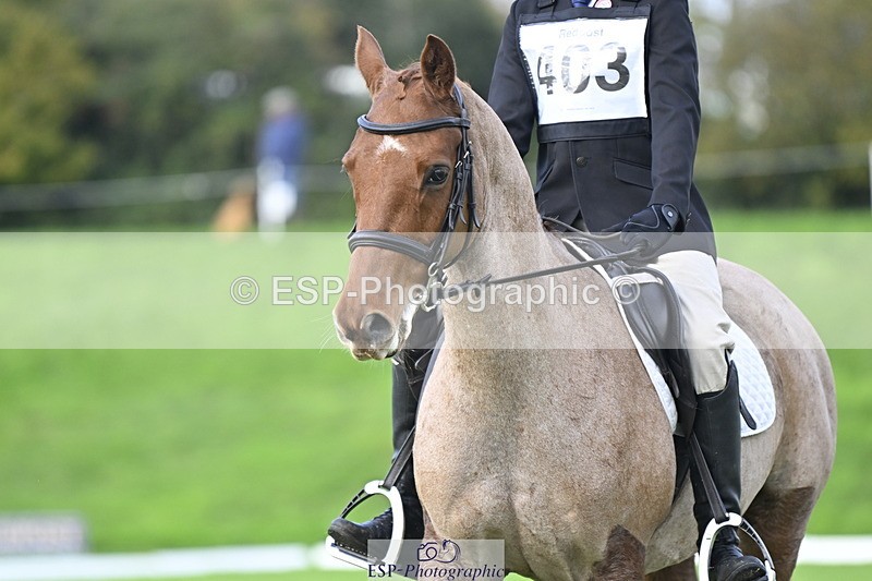 251023A-101833-02803 - F-403-Hugo.Moor