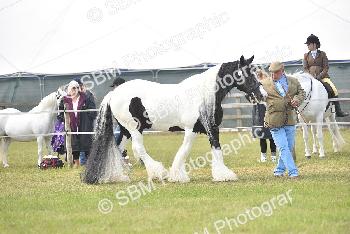 SBM_16083 - Class 117-122 - SSADL RIHS Qualifier