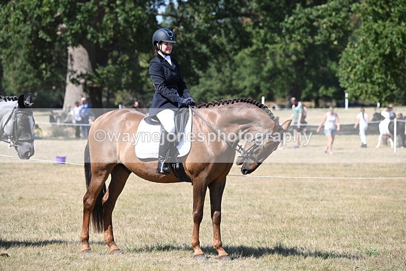 WJ6_9120 - Championship Classes 33-38