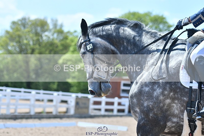 230520A-142740-01501 - Cls 7 Novice 34