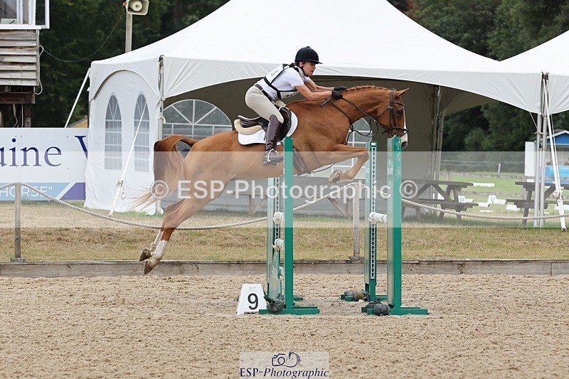 250803A-101117-09778 - L-508-Alison.Stewart-RICO.III