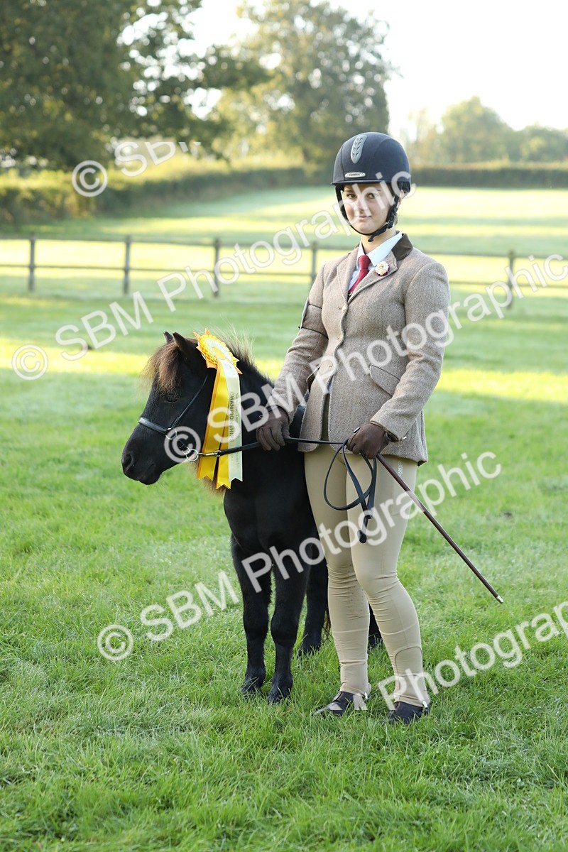 SBM_57882 - S42 - Youngstock