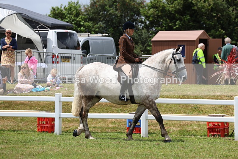 3E7A1825 - Class 10: Open Cob