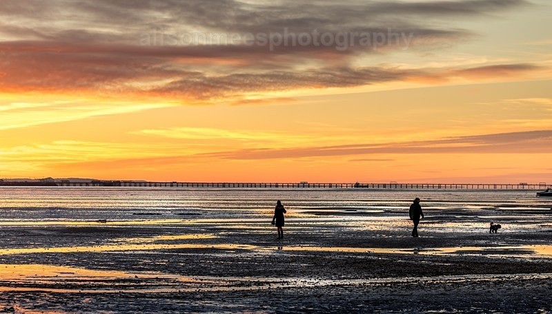  - Landscapes & Seascapes