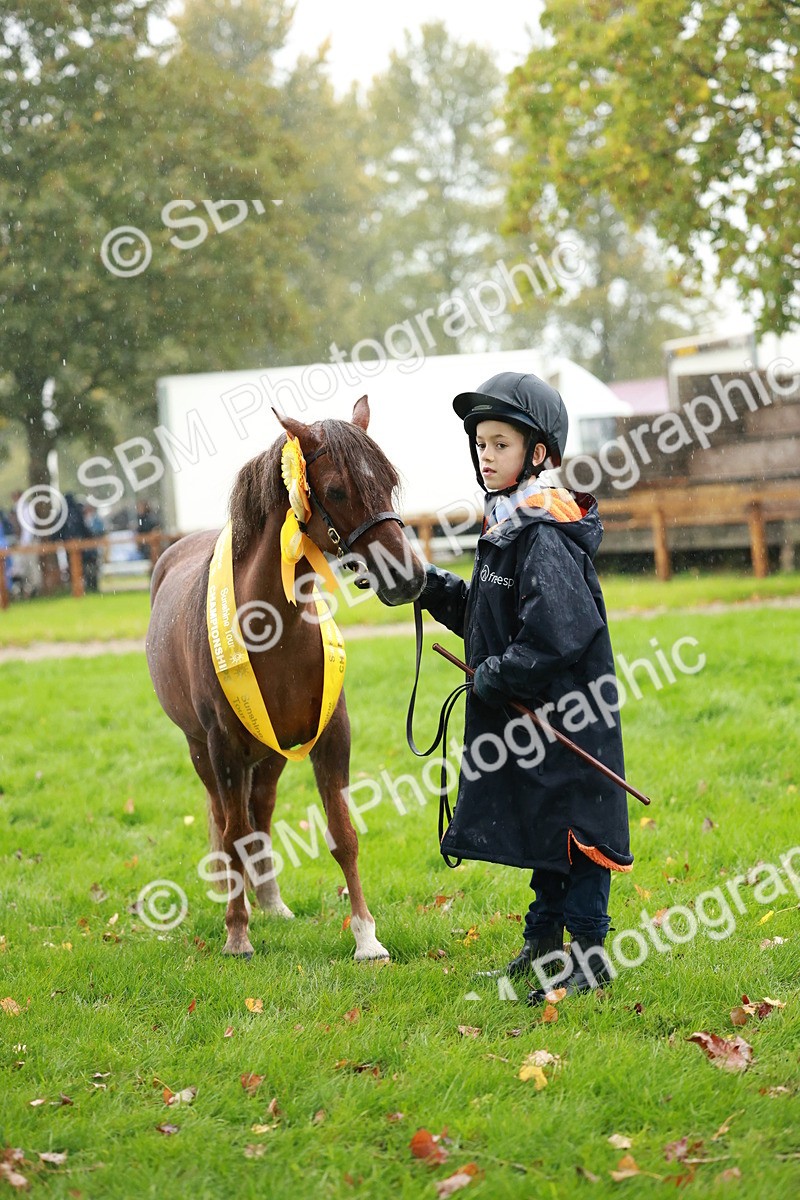 SBM_34930 - S10 - Best In Hand Horse & Pony