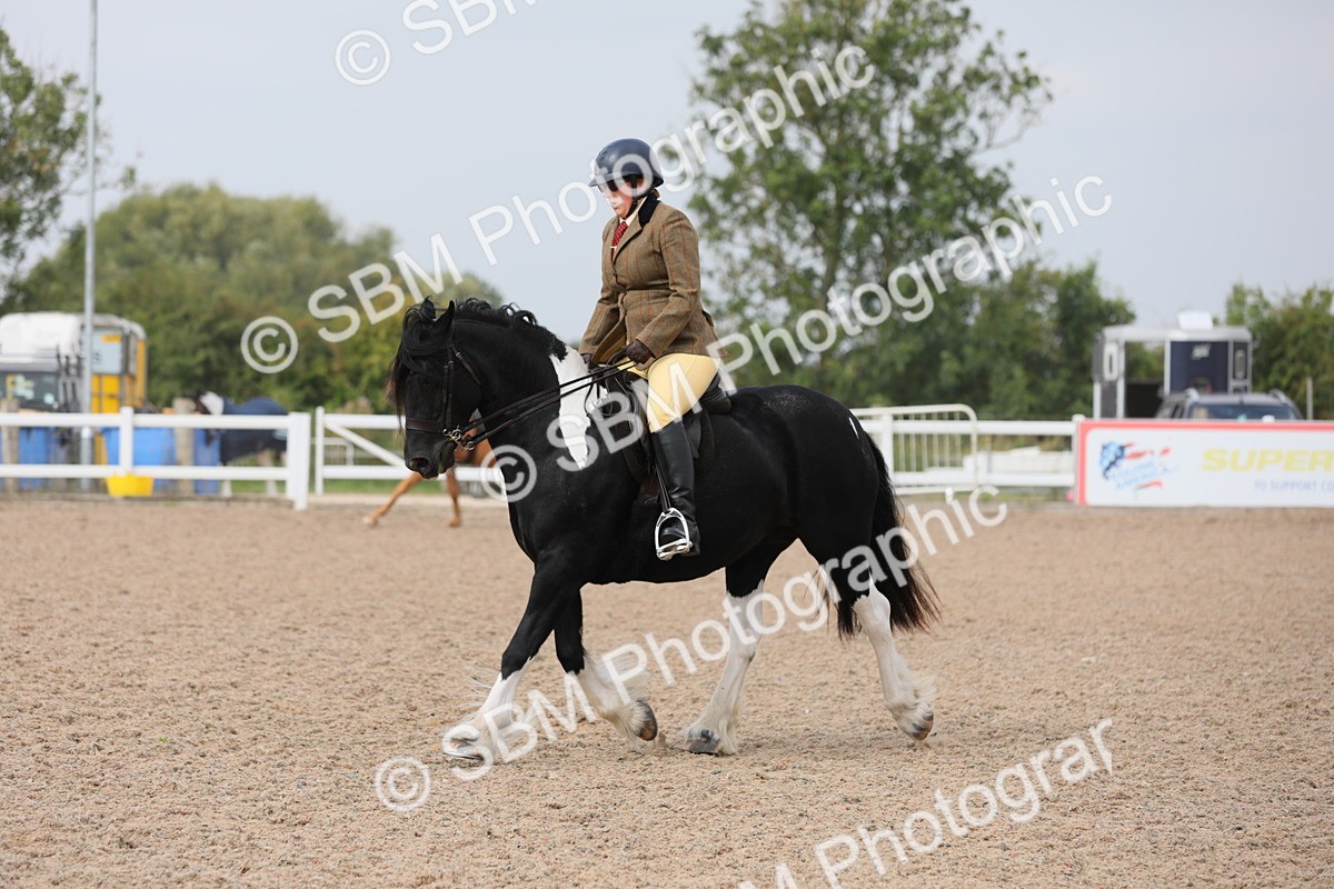 SBM_12702 - Class 307 Ridden Coloured Pony