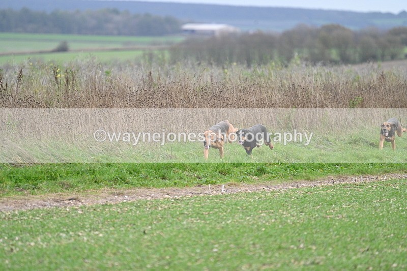 WJ7_2515 - Camera A