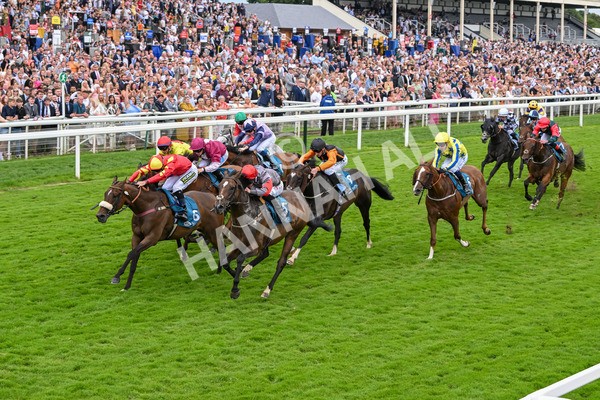 270724-Race 5-Theme Park-7413 - Race 5 4.35pm Sky Bet Prize Drop Handicap