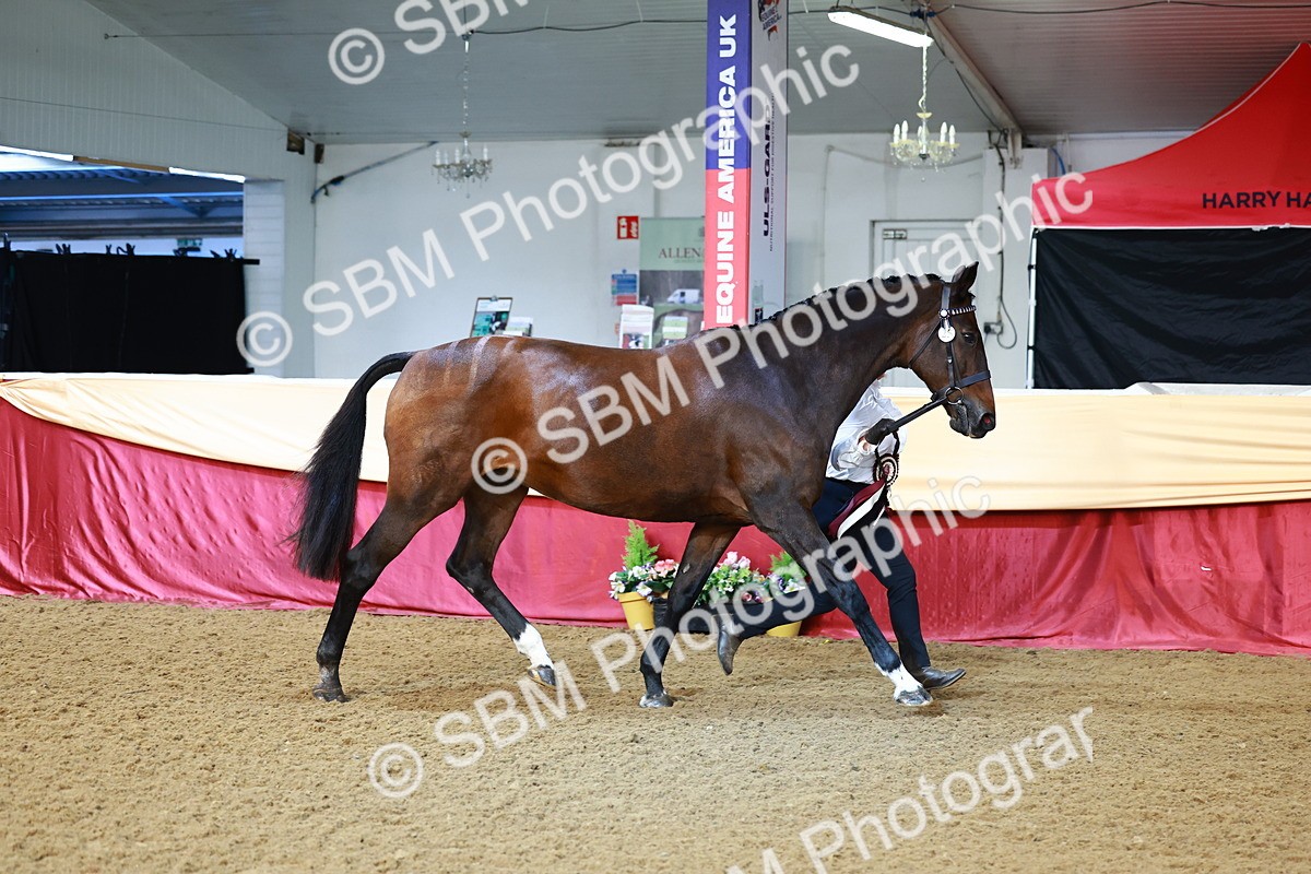 SBM_21941 - Class 901 - Supreme Final - IH  Diamond