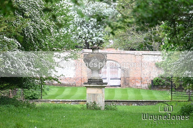WJ7_2792 - Chiltern Ride - Wormsley Estate 04-05-26