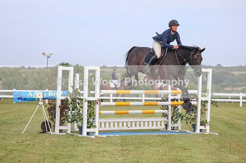 3E7A0841 - Class C: Showjumping Senior Foxhunter