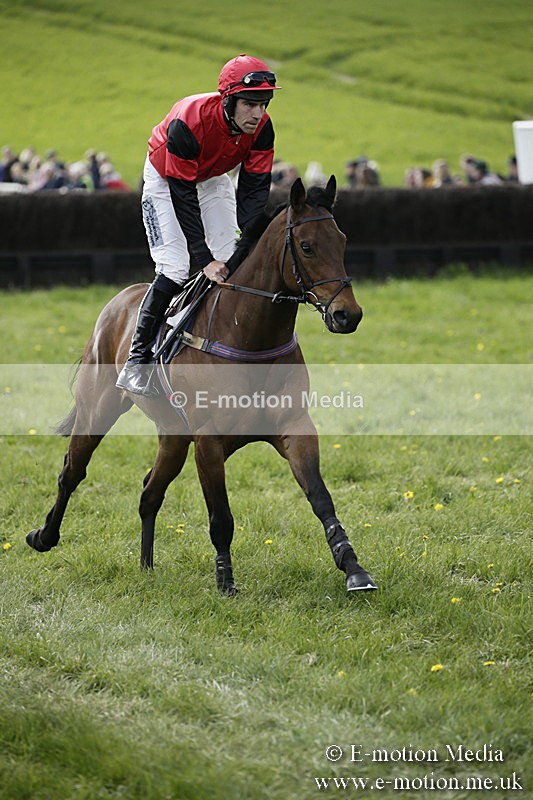 PtP 170417 411 - Old Berks Point-to-Point Lockinge 17/04/17