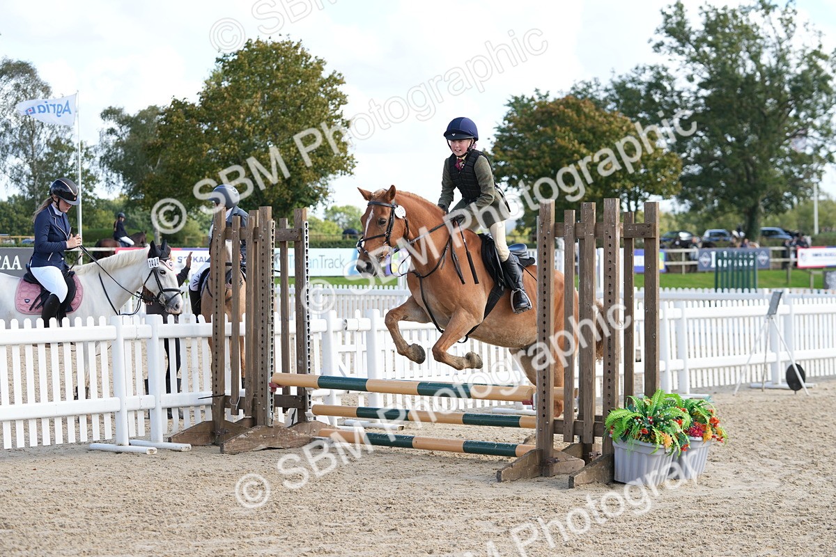 SBM_48456 - J7 - Junior Pony 60cm Championship