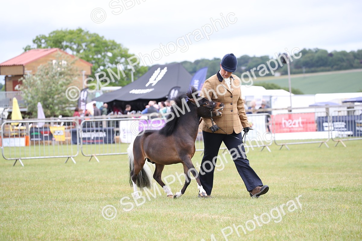 SBM_03789 - Class 23-25 - British Miniature Horse of the Year