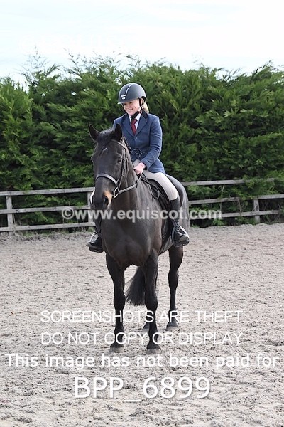 BPP_6899 - RING 1  (RIDDEN HORSES / IN HAND / VETERAN ETC)
