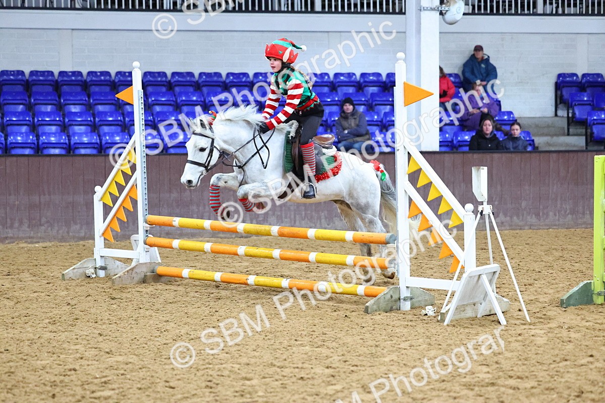 SBM_001353 - Class 3 - Christmas Tree Stakes - 60cm