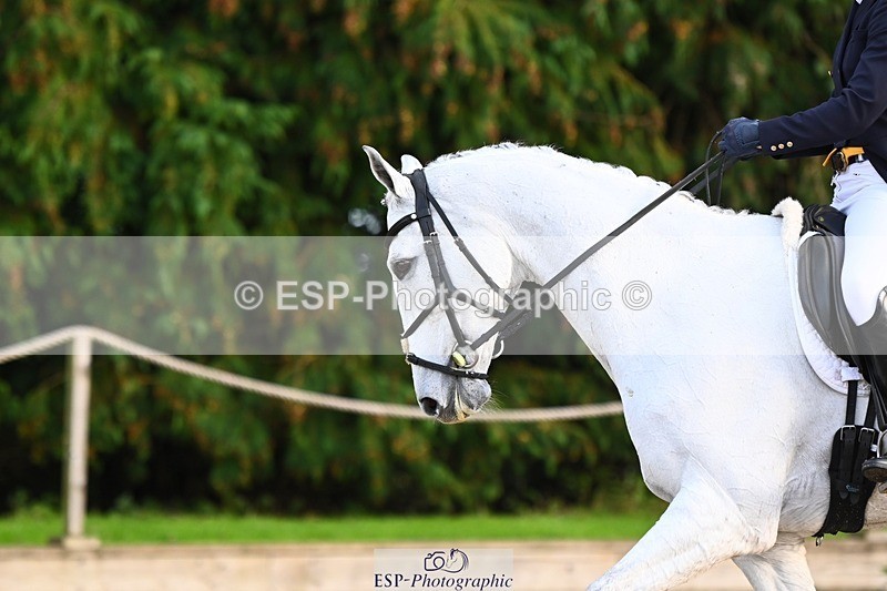 231021-155817-20981 - 262-GOOD.BOY.ALEX-Tara.Jefferies-DR