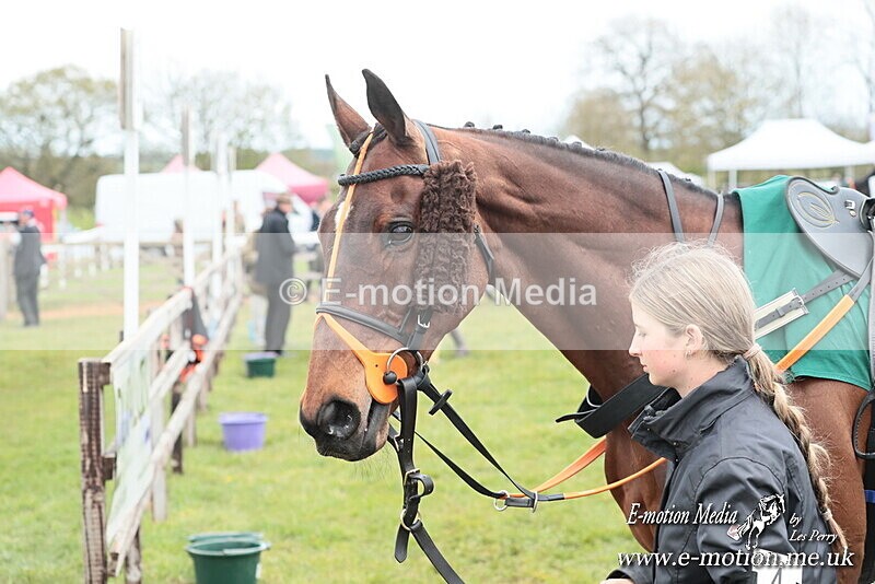 PtP 130425 22 - Edgecote Races 13/04/25