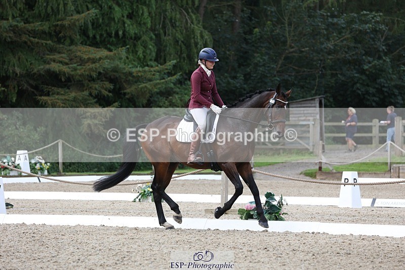 230812-105053-03369 - Cls 5 Novice Bronze Start to 10.55 break