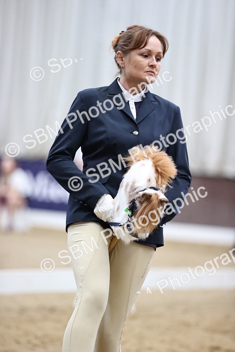 SBM_003396 - Class 13 - Dressage