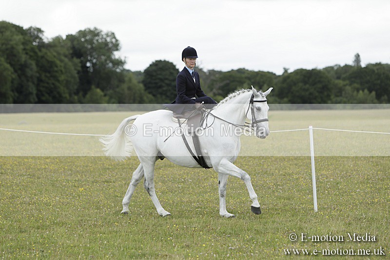 BVR160717-2369 - Side Saddle Classes 16/07/17