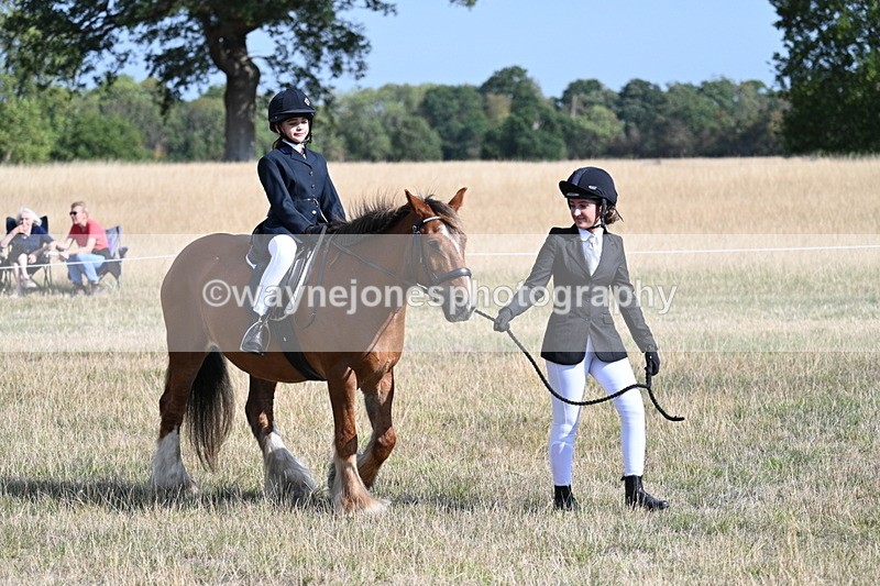 WJ7_2707 - Class 8 Ridden Tack & Turnout