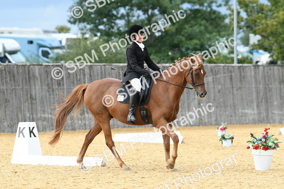 SBM_10961 - D28 Elementary Taster Elementary 42