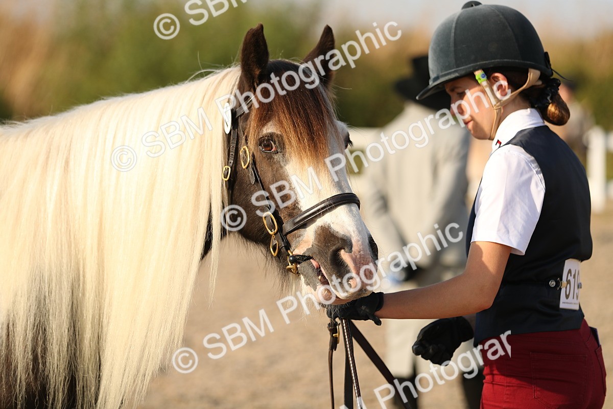 SBM_09069 - Class 29 IH Veteran Pony